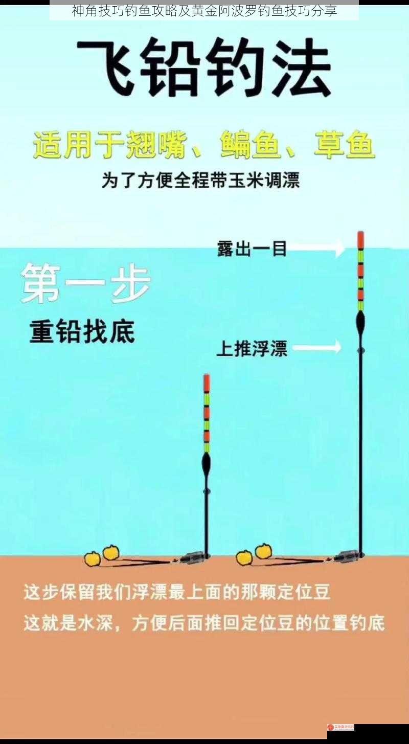 神角技巧钓鱼攻略及黄金阿波罗钓鱼技巧分享