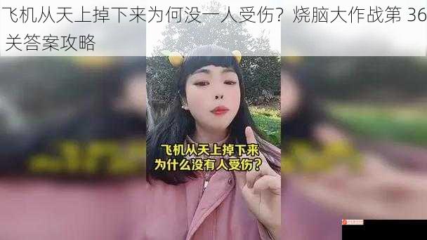 飞机从天上掉下来为何没一人受伤？烧脑大作战第 36 关答案攻略