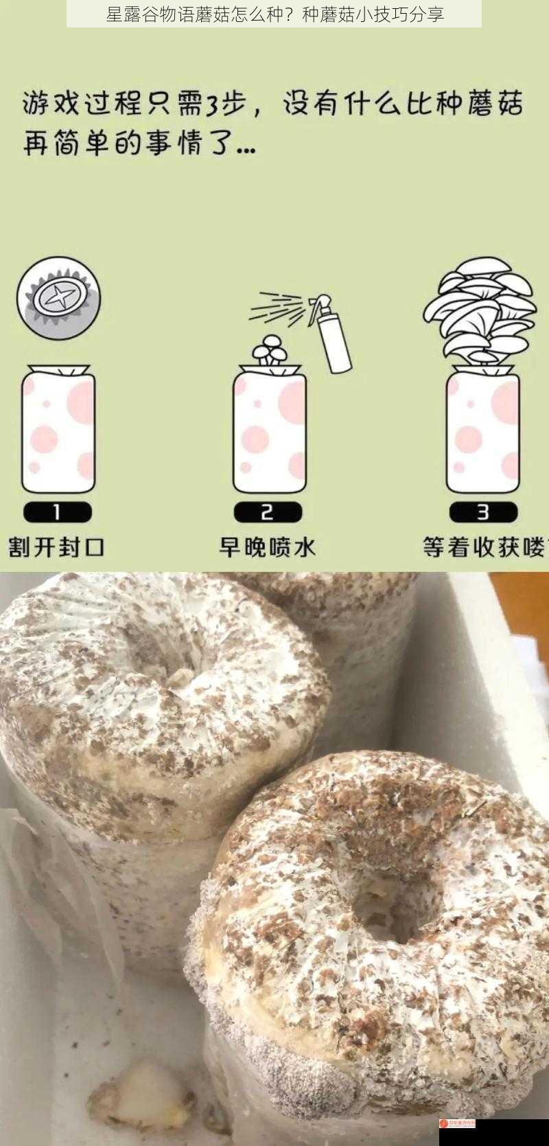 星露谷物语蘑菇怎么种？种蘑菇小技巧分享