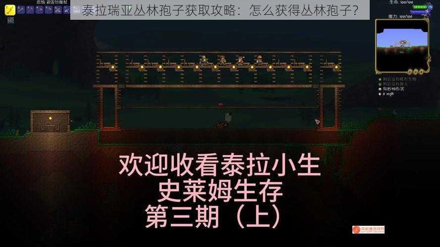 泰拉瑞亚丛林孢子获取攻略：怎么获得丛林孢子？