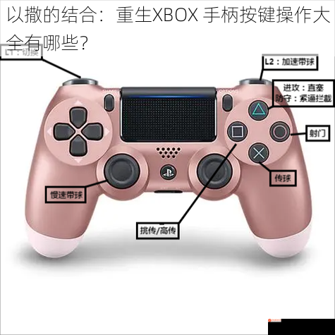 以撒的结合：重生XBOX 手柄按键操作大全有哪些？