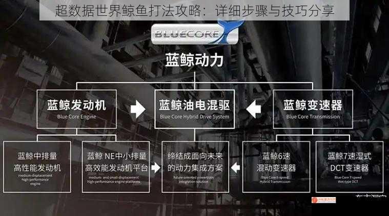 超数据世界鲸鱼打法攻略：详细步骤与技巧分享