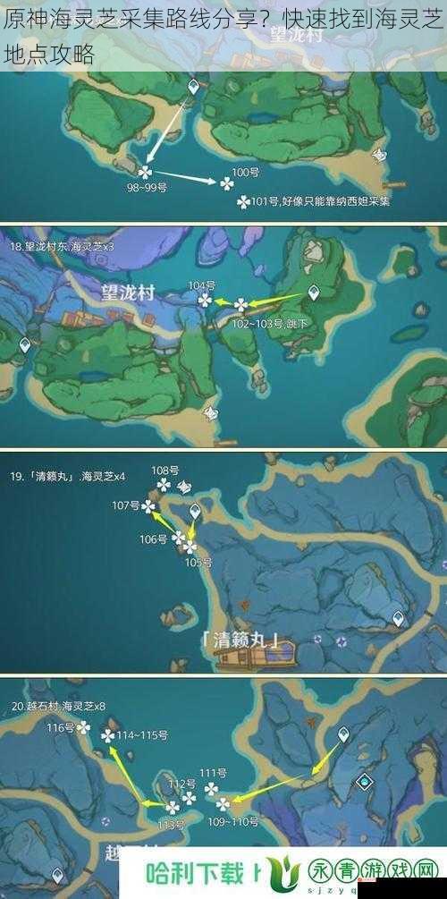 原神海灵芝采集路线分享？快速找到海灵芝地点攻略