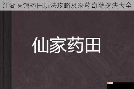 江湖医馆药田玩法攻略及采药奇葩挖法大全