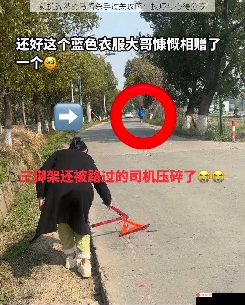 就挺秃然的马路杀手过关攻略：技巧与心得分享