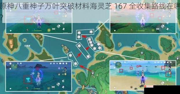 原神八重神子万叶突破材料海灵芝 167 全收集路线在哪？