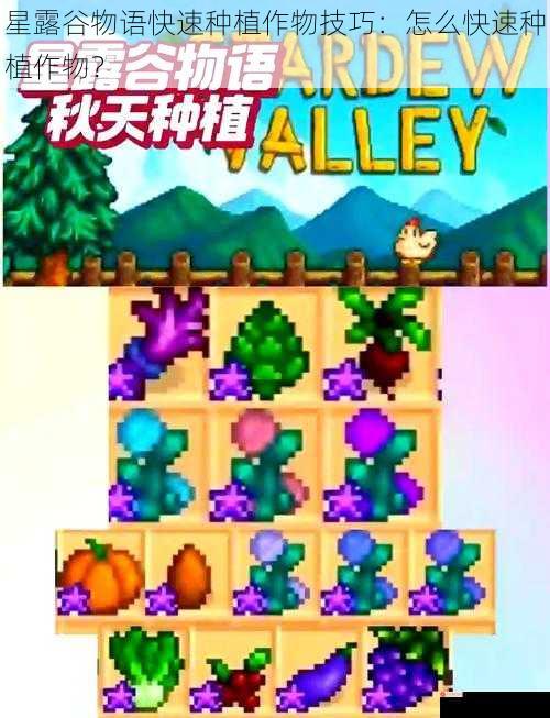 星露谷物语快速种植作物技巧：怎么快速种植作物？