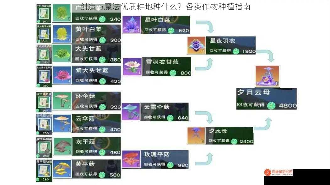 创造与魔法优质耕地种什么？各类作物种植指南