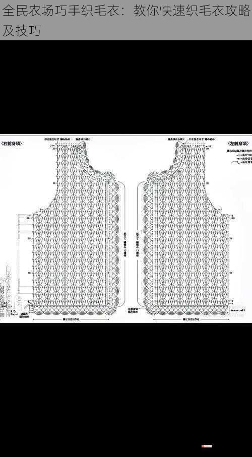 全民农场巧手织毛衣：教你快速织毛衣攻略及技巧