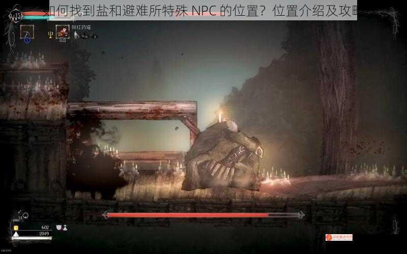 如何找到盐和避难所特殊 NPC 的位置？位置介绍及攻略