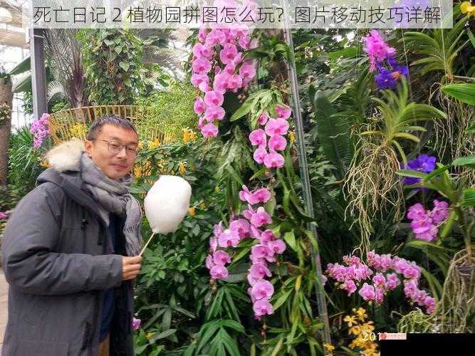 死亡日记 2 植物园拼图怎么玩？图片移动技巧详解