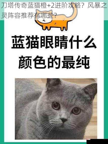 刀塔传奇蓝猫橙+2进阶攻略？风暴之灵阵容推荐有哪些？