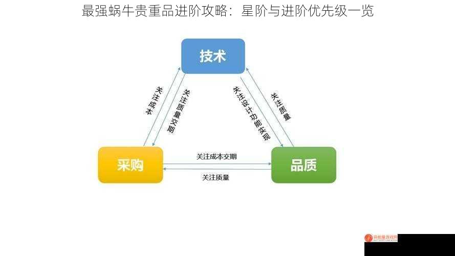 最强蜗牛贵重品进阶攻略：星阶与进阶优先级一览