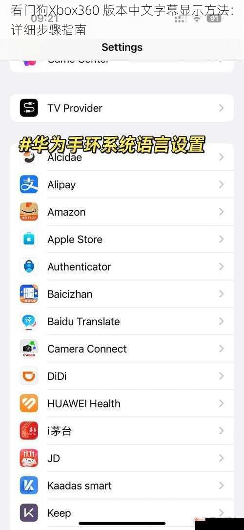 看门狗Xbox360 版本中文字幕显示方法：详细步骤指南