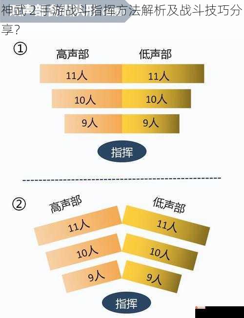 队伍搭配与站位