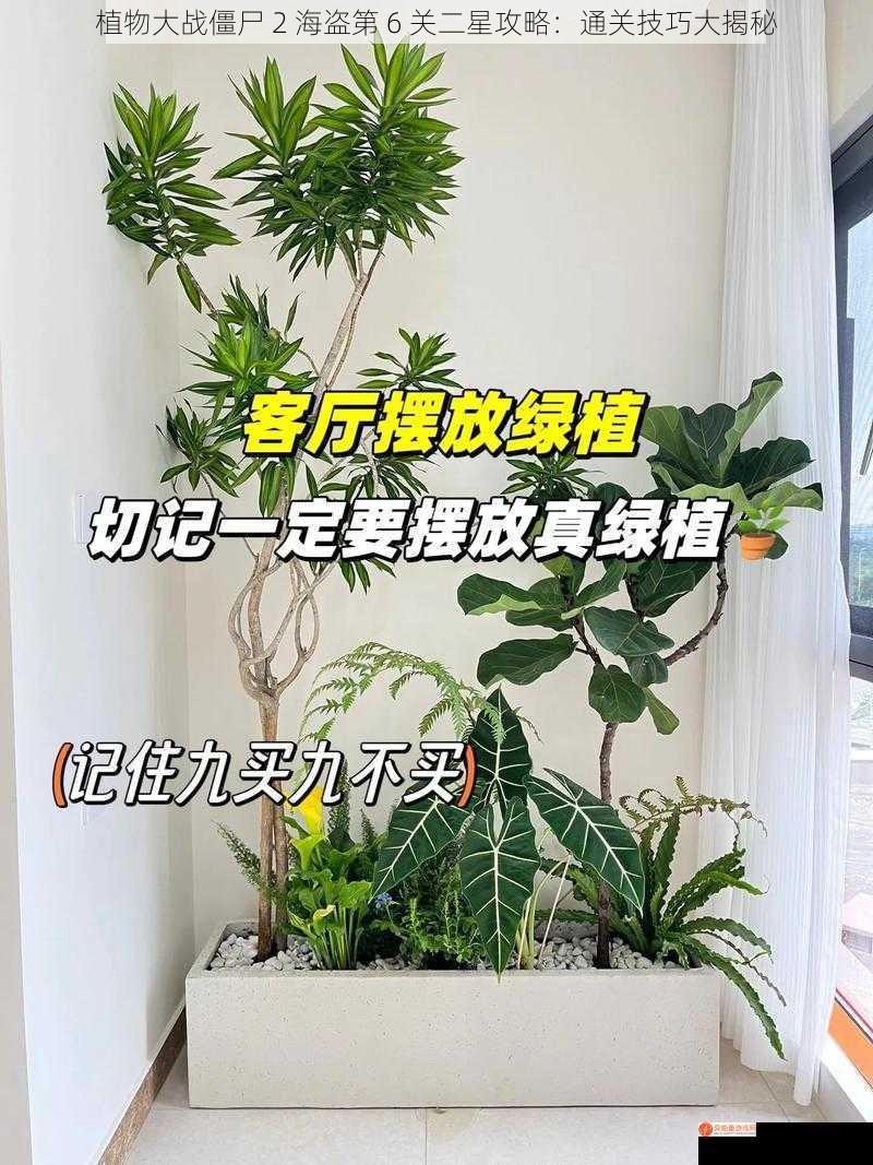 植物大战僵尸 2 海盗第 6 关二星攻略：通关技巧大揭秘