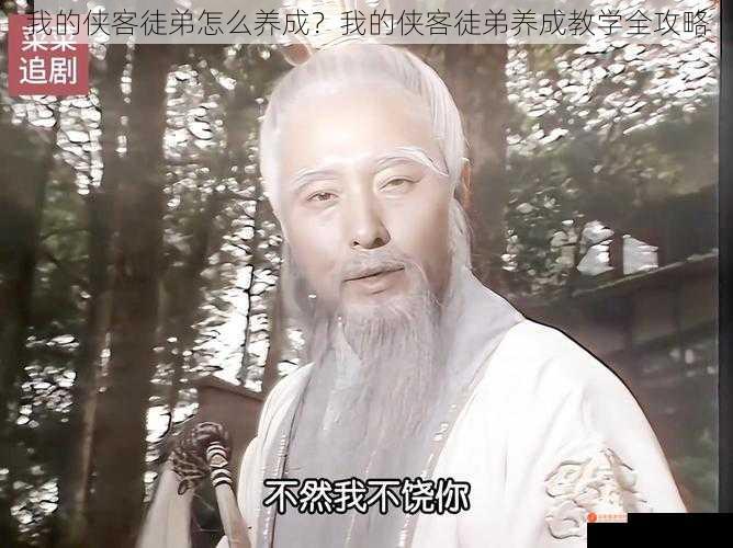 我的侠客徒弟怎么养成？我的侠客徒弟养成教学全攻略