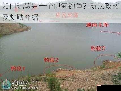 如何玩转另一个伊甸钓鱼？玩法攻略及奖励介绍