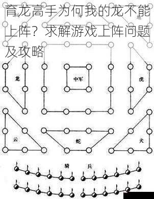 育龙高手为何我的龙不能上阵？求解游戏上阵问题及攻略