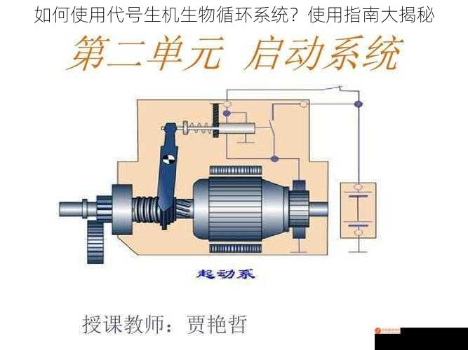 如何使用代号生机生物循环系统？使用指南大揭秘