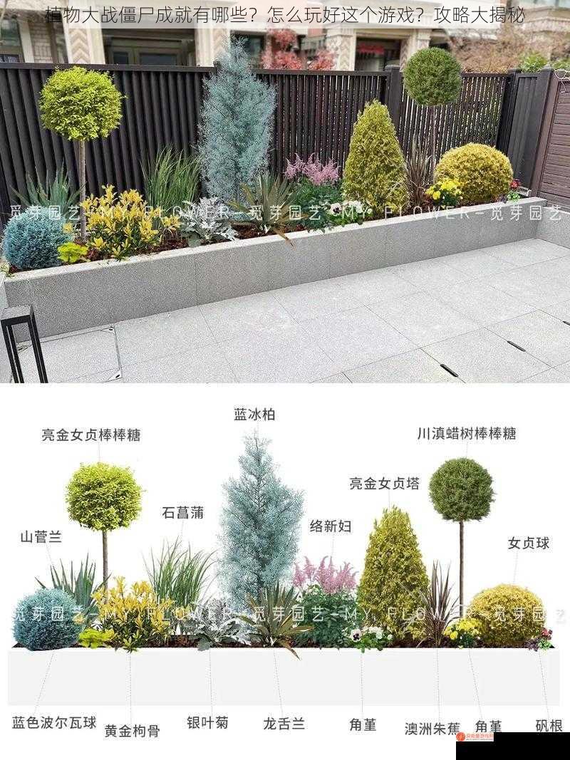 植物大战僵尸成就有哪些？怎么玩好这个游戏？攻略大揭秘