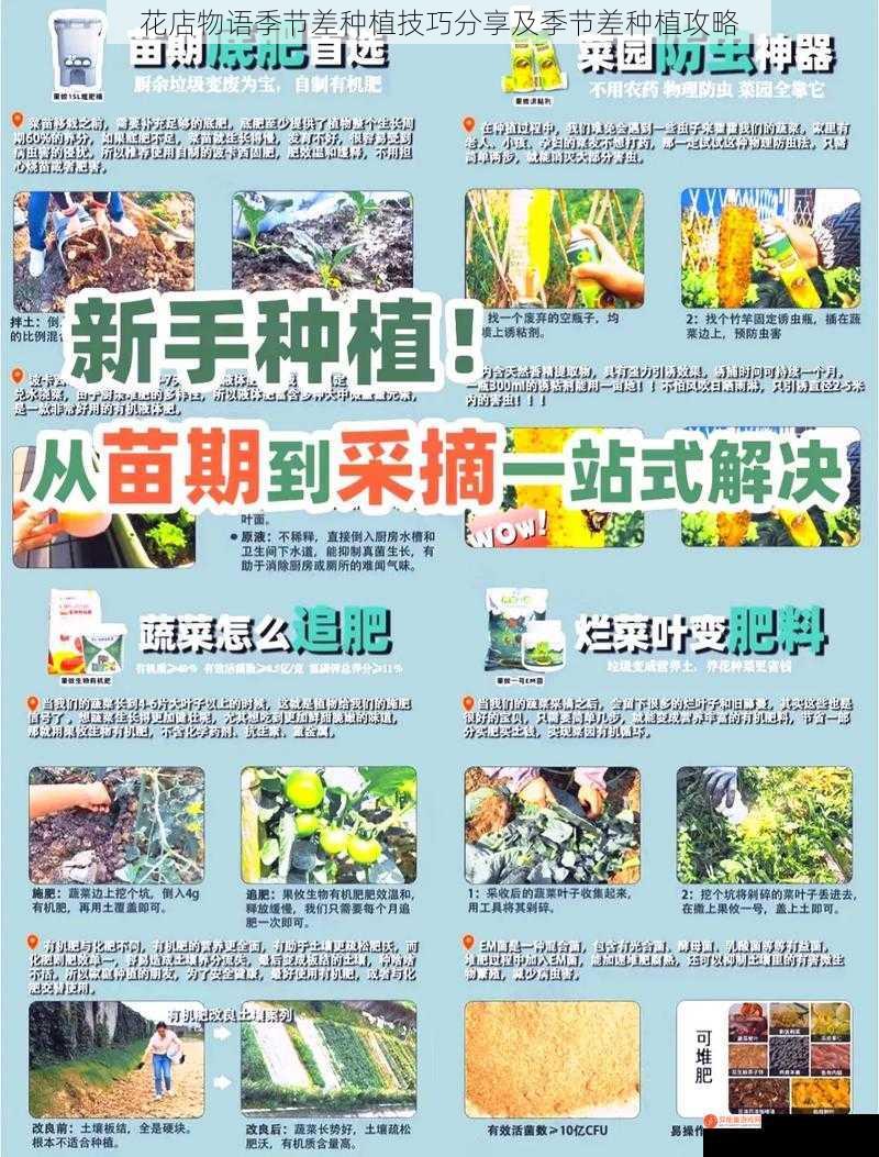 春季种植技巧与攻略