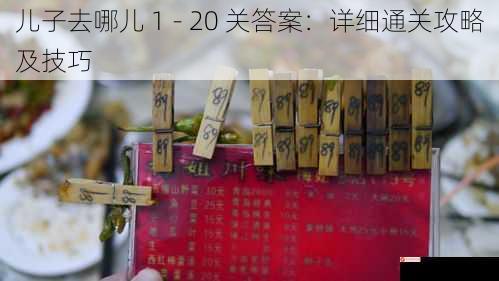 儿子去哪儿 1 - 20 关答案：详细通关攻略及技巧