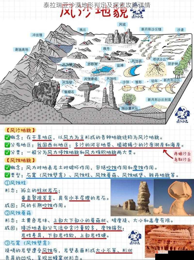 泰拉瑞亚沙漠地形判定及探索攻略详情