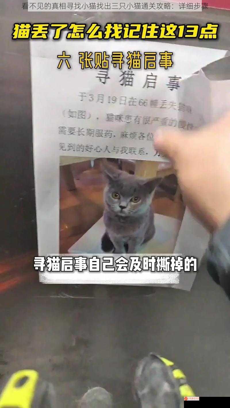 看不见的真相寻找小猫找出三只小猫通关攻略：详细步骤