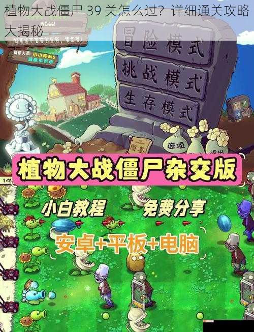 植物大战僵尸 39 关怎么过？详细通关攻略大揭秘