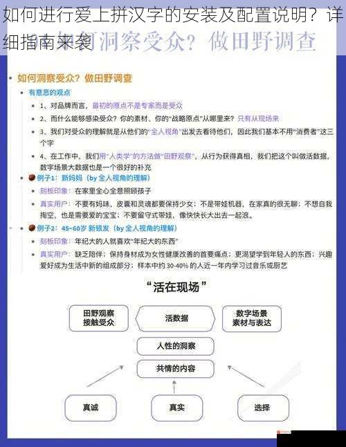 如何进行爱上拼汉字的安装及配置说明？详细指南来袭