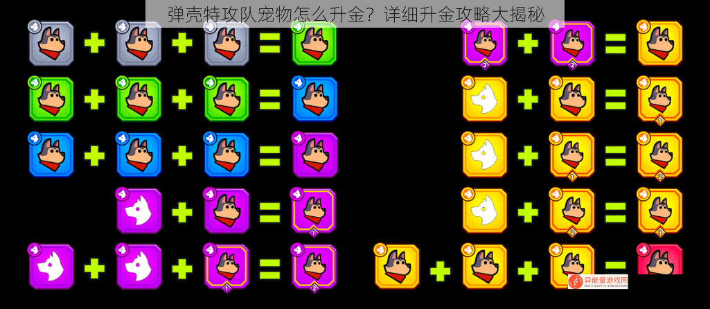 弹壳特攻队宠物怎么升金？详细升金攻略大揭秘