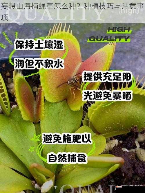 妄想山海捕蝇草怎么种？种植技巧与注意事项