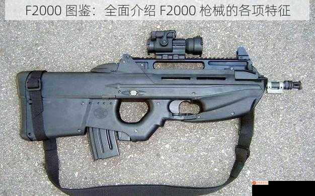 F2000 图鉴：全面介绍 F2000 枪械的各项特征