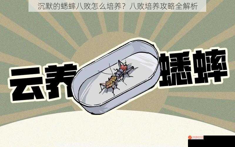 沉默的蟋蟀八败怎么培养？八败培养攻略全解析