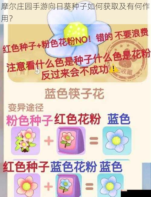 摩尔庄园手游向日葵种子如何获取及有何作用？