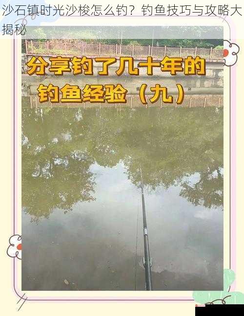 沙石镇时光沙梭怎么钓？钓鱼技巧与攻略大揭秘