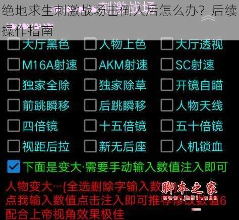 绝地求生刺激战场击倒人后怎么办？后续操作指南