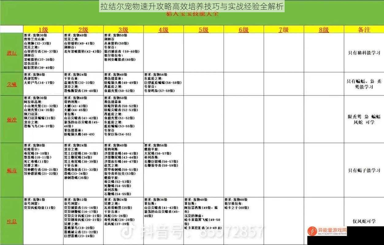 拉结尔宠物速升攻略高效培养技巧与实战经验全解析