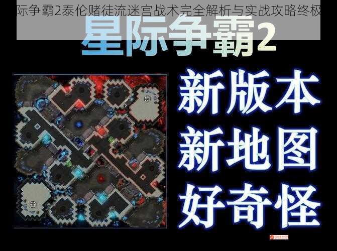 星际争霸2泰伦赌徒流迷宫战术完全解析与实战攻略终极指南