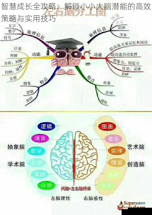 智慧成长全攻略：解锁小小大脑潜能的高效策略与实用技巧