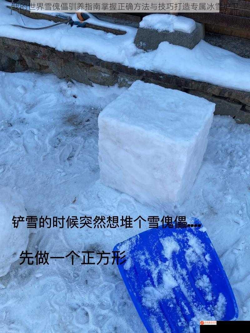 我的世界雪傀儡驯养指南掌握正确方法与技巧打造专属冰雪护卫