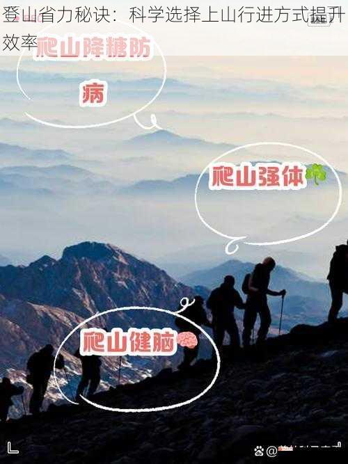 登山省力秘诀：科学选择上山行进方式提升效率