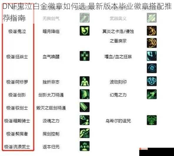 DNF鬼泣白金徽章如何选 最新版本毕业徽章搭配推荐指南