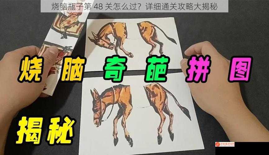 烧脑瓶子第 48 关怎么过？详细通关攻略大揭秘