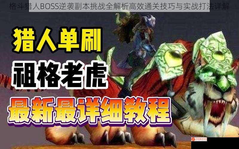 格斗猎人BOSS逆袭副本挑战全解析高效通关技巧与实战打法详解