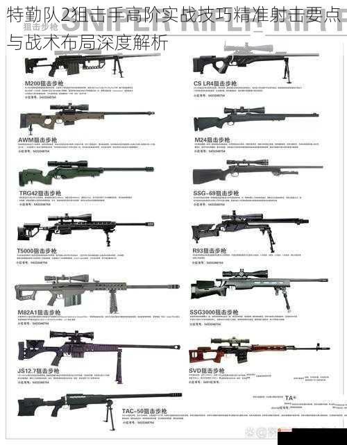 特勤队2狙击手高阶实战技巧精准射击要点与战术布局深度解析