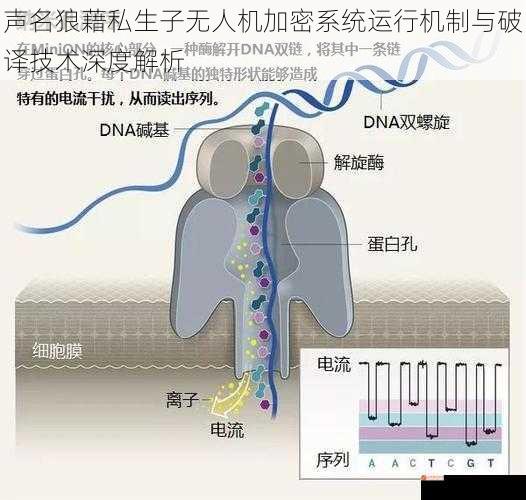 声名狼藉私生子无人机加密系统运行机制与破译技术深度解析