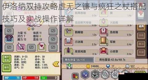 伊洛纳双持攻略虚无之镰与疯狂之杖搭配技巧及实战操作详解